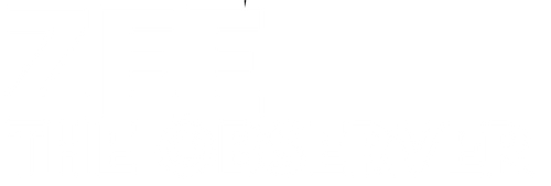 ZEE THE OBSERVER